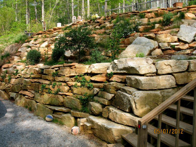 garden image