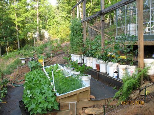 garden image