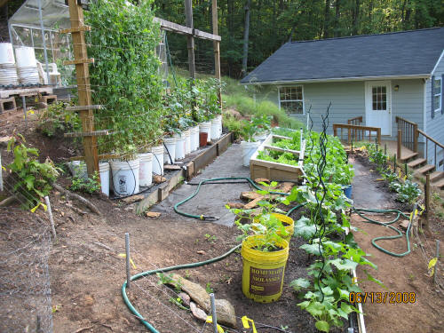 garden image