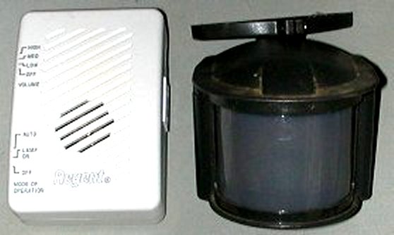 X10 image