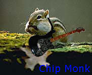 Chip Monk